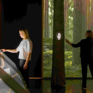 Pro Nemus – new perspectives on northern wood (40206)