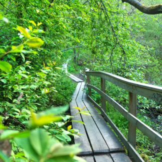 Nature Next to Urban Life Walking Tour